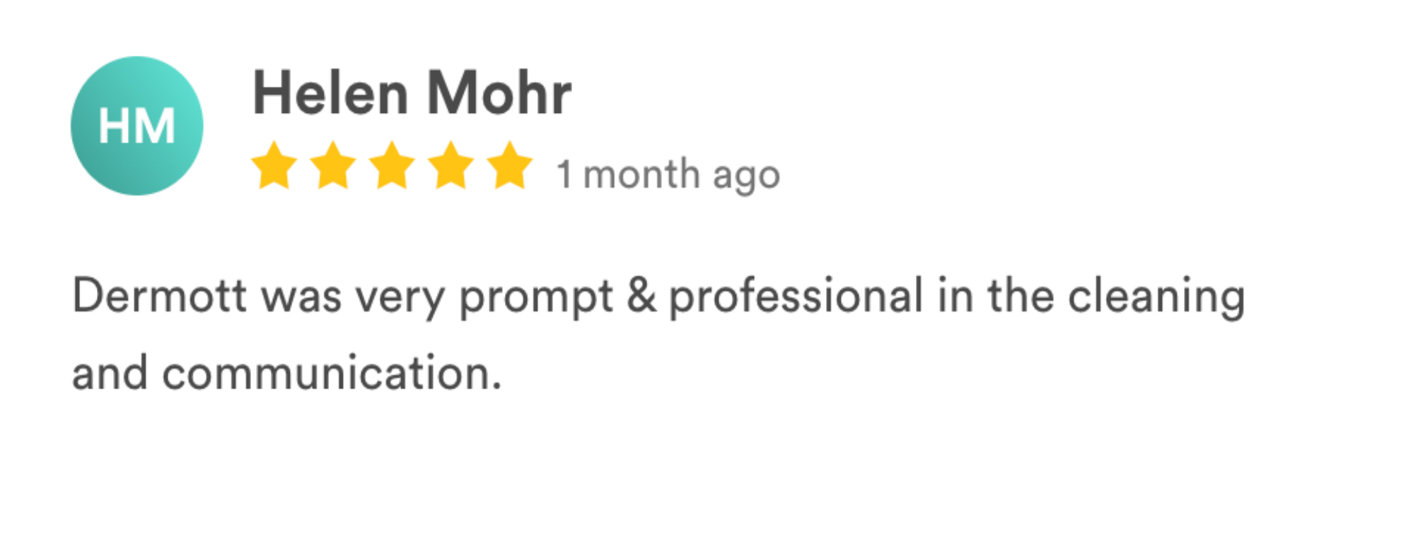 carpetmaster LS reviews-11