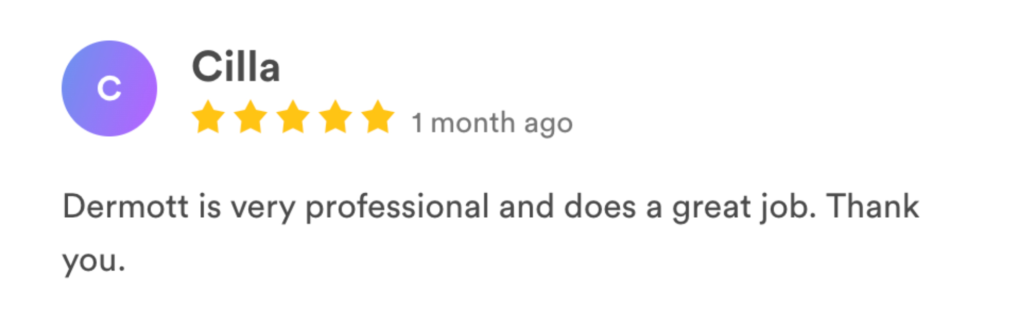 carpetmaster LS reviews-12