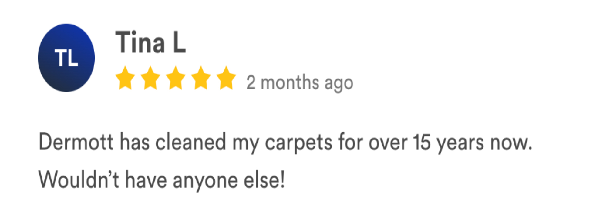 carpetmaster LS reviews-25