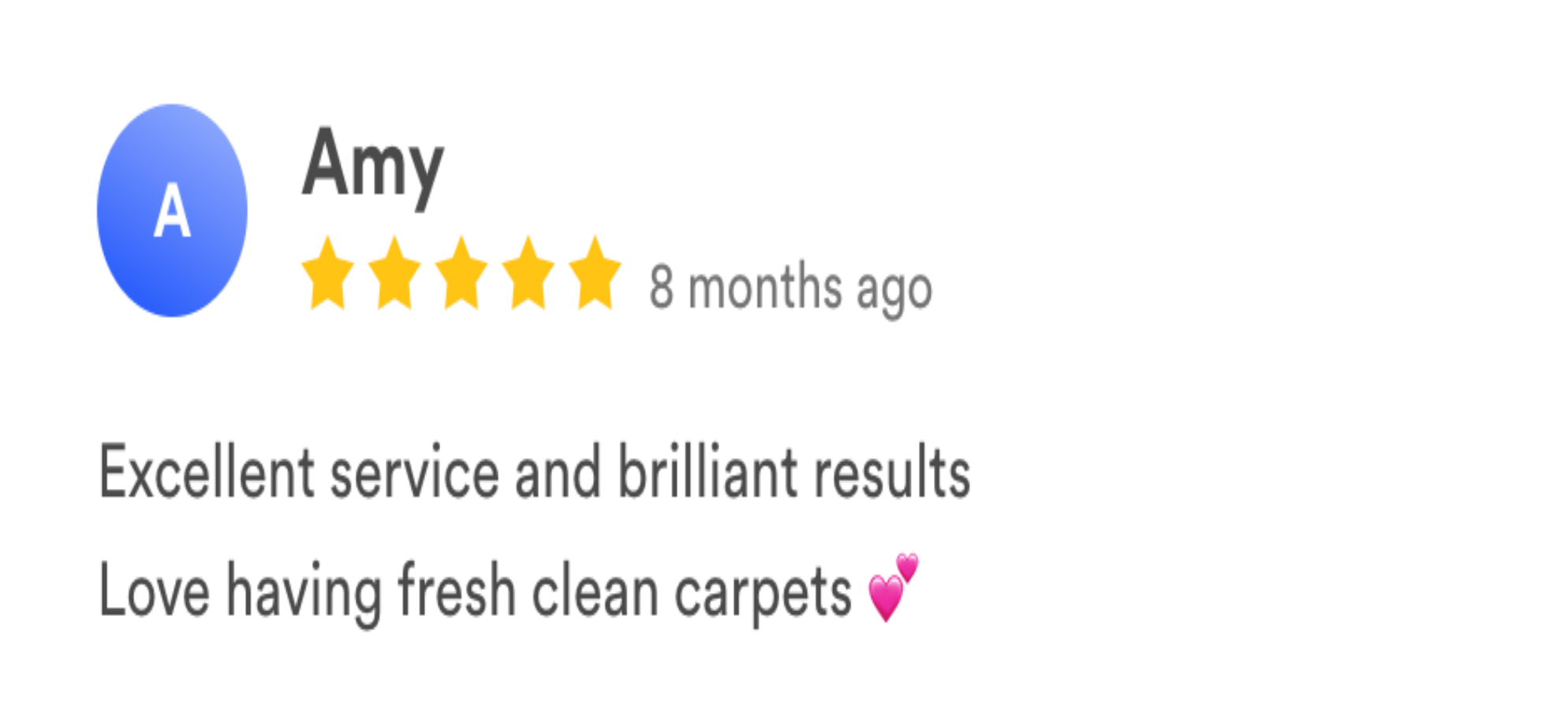 carpetmaster LS reviews-32