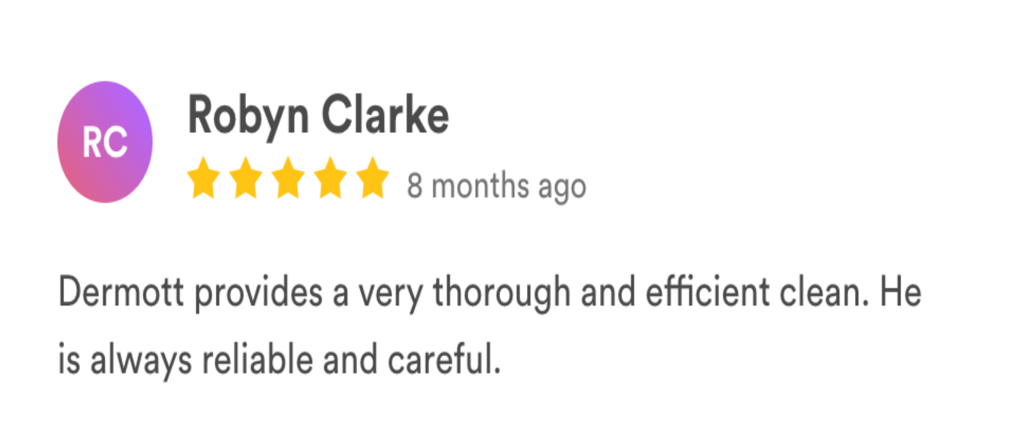 carpetmaster LS reviews-36