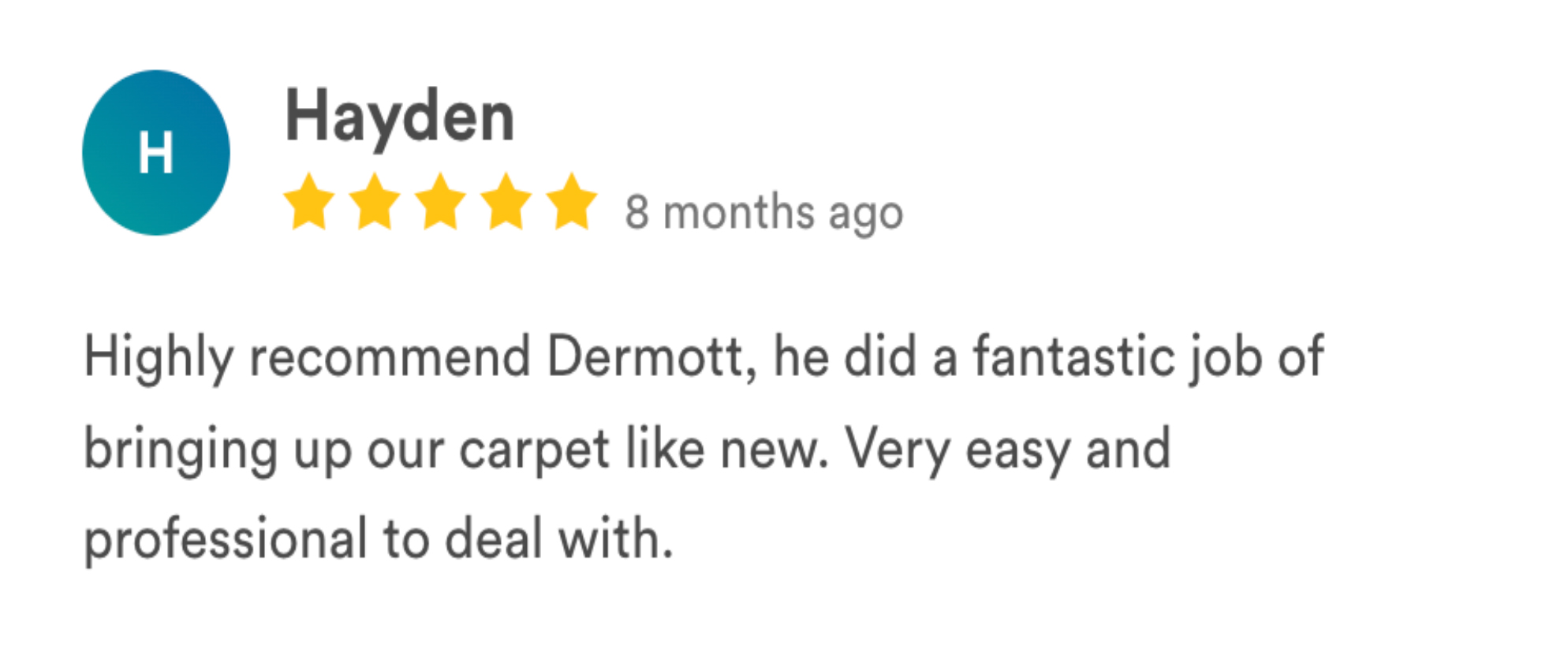 carpetmaster LS reviews-39