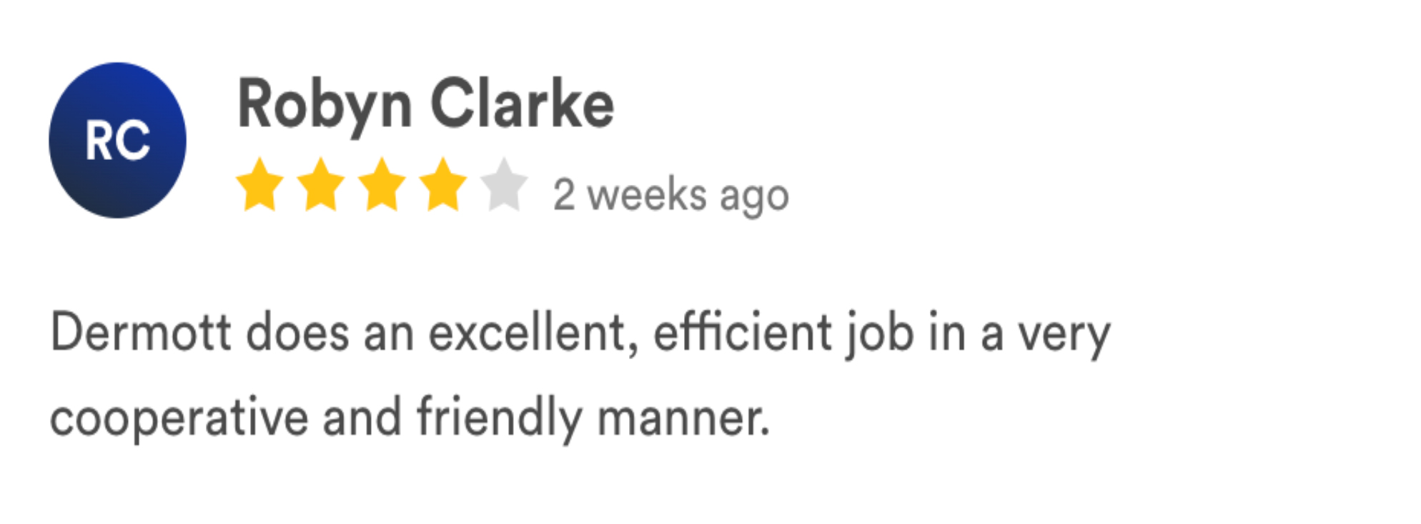 carpetmaster LS reviews-7